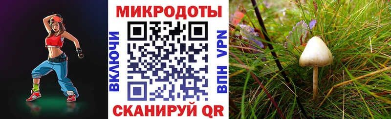 Галлюциногенные грибы ЛСД  mega зеркало  Карасук 
